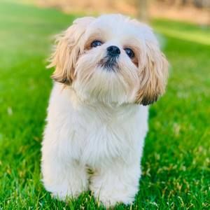 Meet your Posher, Michele